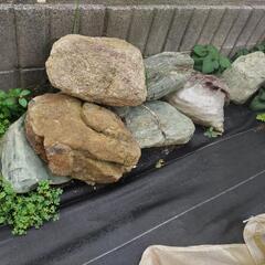 石　庭石の画像