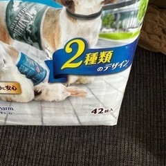マナーウェア　M 小〜中型犬　男の子の画像