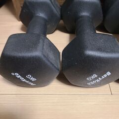 8kg ダンベル ２個