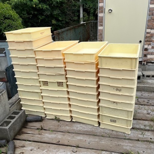 早い者勝ち！値下げしました！ばんじゅう41個 番重 食品用コンテナ フードテナー 業務用 飲食店 厨房 店舗用品 フードコンテナ 保存容器 パン パン屋 ケーキ