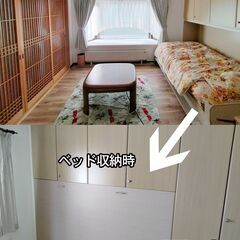 【残り１室】住むだけでボランティア／保護猫シェアハウス（女性限定） 人気の創成川イースト 2駅利用 家具家電付き - 札幌市