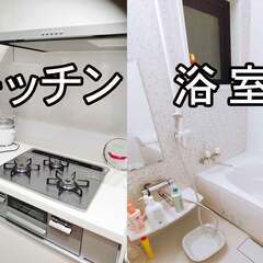 【残り１室】住むだけでボランティア／保護猫シェアハウス（女性限定） 人気の創成川イースト 2駅利用 家具家電付き - 不動産