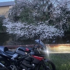 ホンダNS1 カスタム多数‼️実働の画像