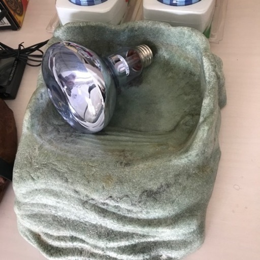 爬虫類用品12品