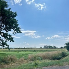 一軒家・住宅の塗装