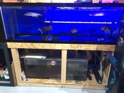 1800×600×600 アクリル水槽セット