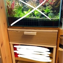 チェスト　（中古）