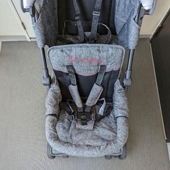 DUOシティホップ2 キンダーワゴン※レインカバー付きの画像