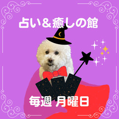 【♡10月2日（月）開催♡】小さな占い＆癒しの館🔮～三ノ宮～