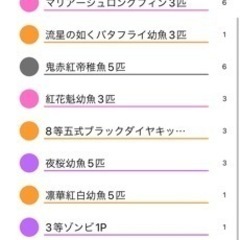 【9/28更新残り0本　ありがとうございました】メダカくじ9/28に終了のお知らせ　1回200円に変更の画像