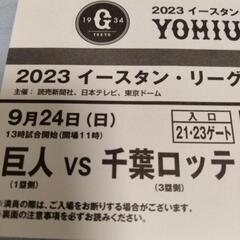 9/24 東京ドームイースタン自由席 1枚の画像