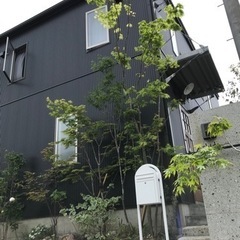 【５万円】玄関周り、お庭の一角の雰囲気を変えませんか！！ - 剪定/造園