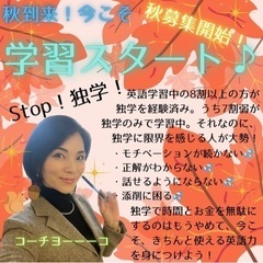 🔰英語初心者の方も安心❣️どんどんわかるようになる！の画像