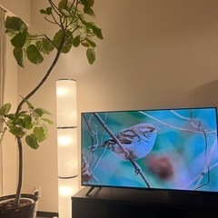 IKEA イケア　フロアランプ　LED電球6個付き