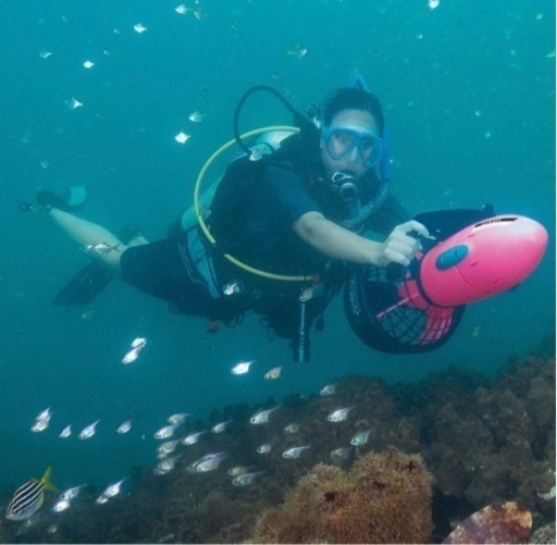 YAMAHA ヤマハシースクーター RDS200 水中スクーター Sea Scooter