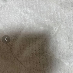 期間限定で出品してます！これからの季節に⭐︎中古品！ニトリ無地のNウォーム　敷パッド　セミダブルの画像