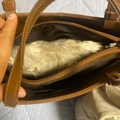 まとめての画像