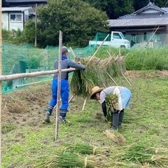 畑・野菜・養鶏❗️メンバー募集　土遊農 − 大阪府