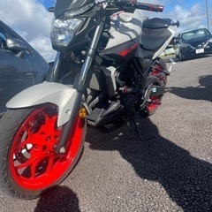 YAMAHA MT25