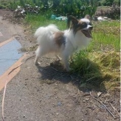 9月21日にいなくなりました