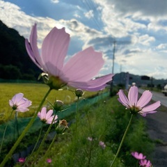 気軽に写真撮影に行ける友達募集中(^^) − 東京都