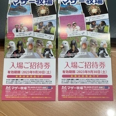 マザー牧場入場券2枚セット