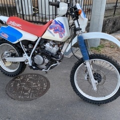 XR２５０R