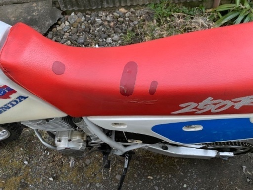 XR２５０R