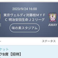 サッカー 9/24 東京ヴェルディ