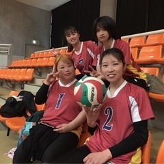 Nova男女混合バレーメンバー募集！！