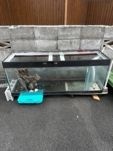 １５０センチ　ガラス　水槽　オーバーフロー　最終値下げ！