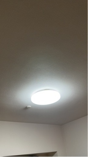 LED ライト