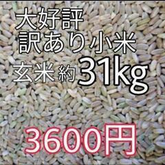 お米　もみ殻  激安　訳あり　無料