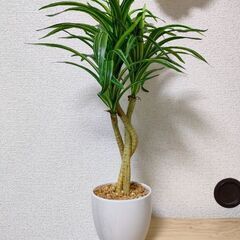 観葉植物　造花 フェイクグリーン