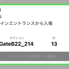 琉球ゴールデンキングスVS台湾※お値下げ中の画像