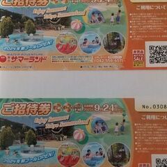 東京サマーランド チケット4枚の画像