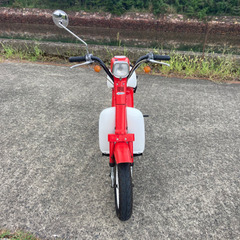 パッソルの画像