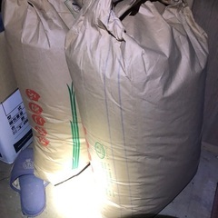令和4年度産コシヒカリ残り1袋