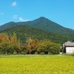 軽い登山仲間