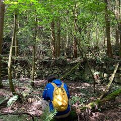 【成約済】山林物件145　山口県防府市久兼