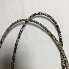 セカンドバック　蛇柄の画像
