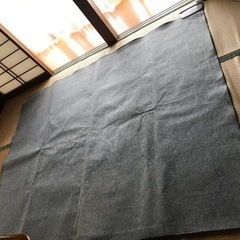 約3畳サイズホットカーペットあげます。(長方形)