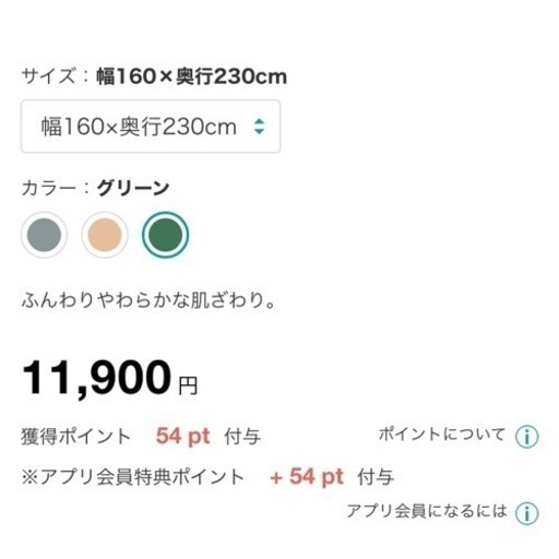 ニトリ　アクセントラグ　Sシャギー　グリーン