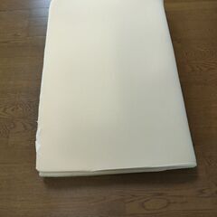 トゥルースリーパーの画像