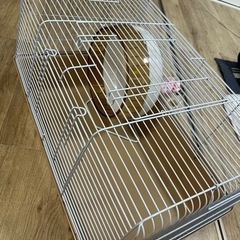 ☆ペット用ゲージ（シャトルマルチ）ホイール付☆