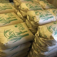 《11月中旬又は12月中旬迄の短期》倉庫内作業/男性活躍中/日払いOK