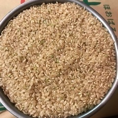 屑米、中米、規格外米探しています