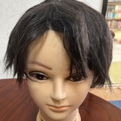 ショートヘアウィッグ　かつら　黒　コスプレ仮装ハロウィン舞台に