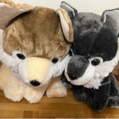 オオカミぬいぐるみ②
