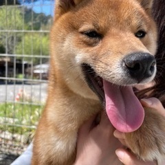 お友達募集✨ − 熊本県